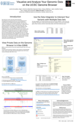 ICHG 2016 preview