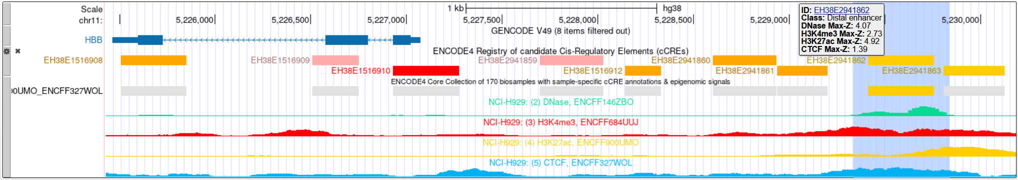 Announcement banner for ENCODE 4 candidate cis-regulatory elements