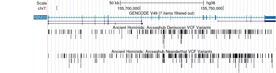 Browser display of ancient hominid variant tracks showing archaic human DNA differences