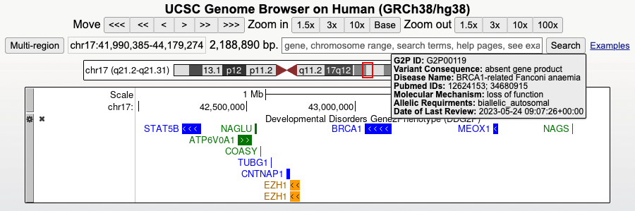 DDG2P track with the mouseover tooltip on the BRCA1 gene.