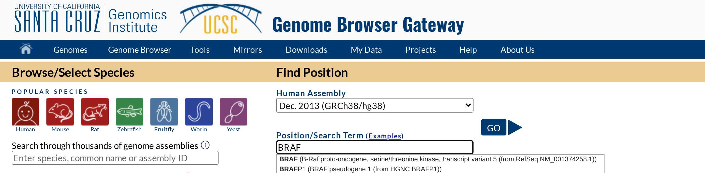 Gateway search example for BRAF